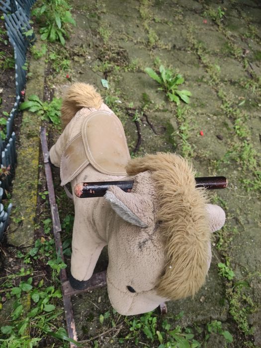 Люлеещо се конче