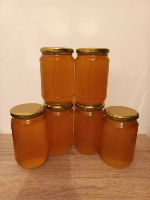 Пчелен мед реколта 2025