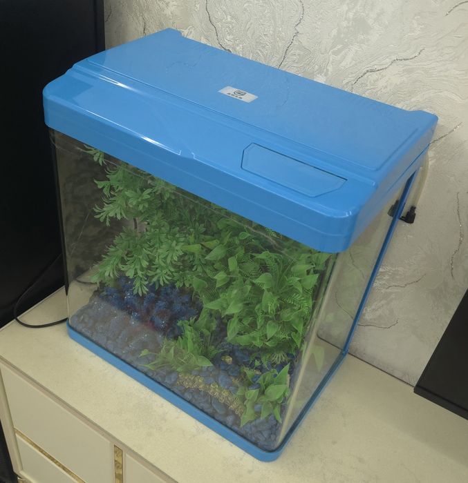 Акварюм синей света