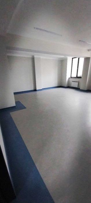 Linoleum linolium leonelom