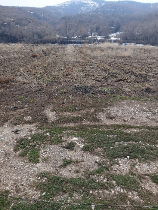 Аренда жер беріледі 3гектар