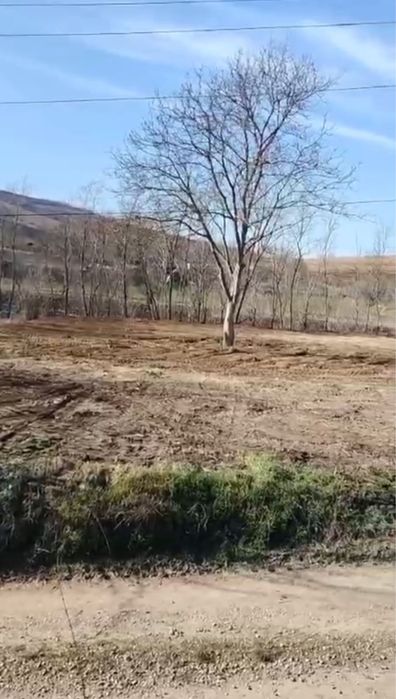 Teren intravilan 1000m* com Geaca