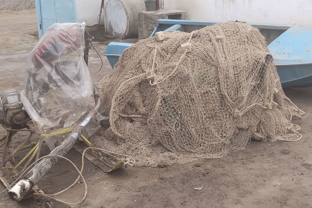 Lotka, suv mator, Liviviotka, Suzma tor