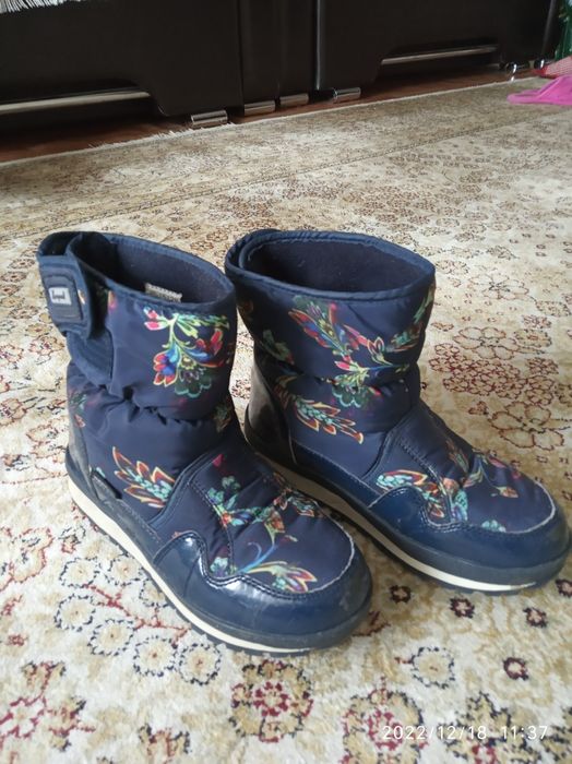 Сароги зимние тё