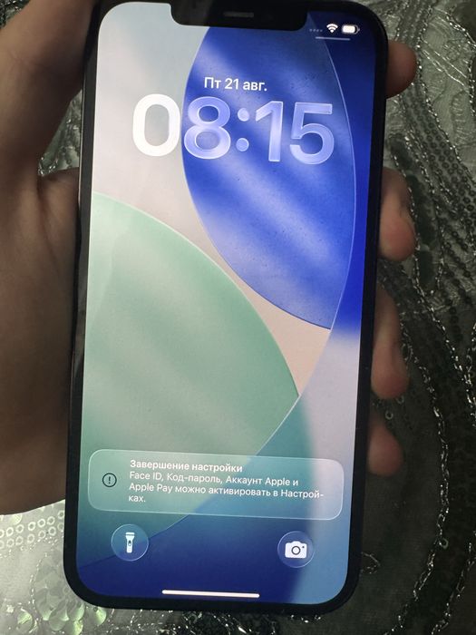iPhone 12 Pro Max на 256 ГБ