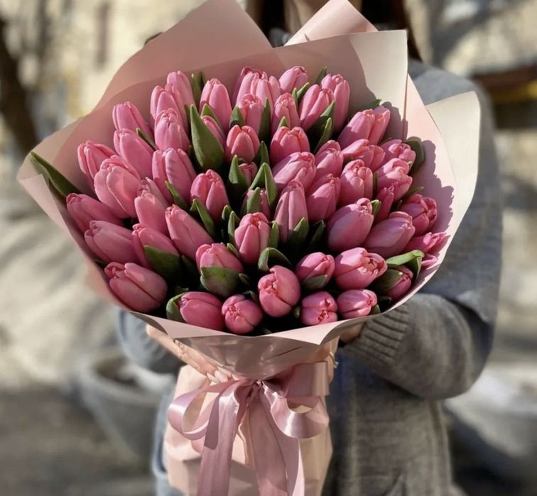 Свежие Голландские тюльпаны