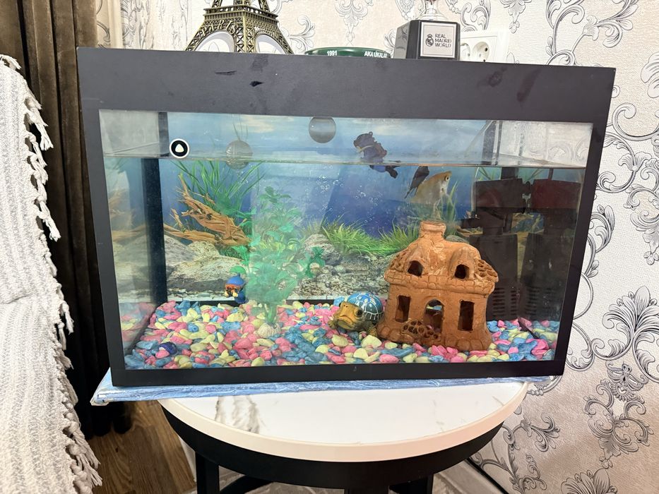 Аквариум домик с рибками