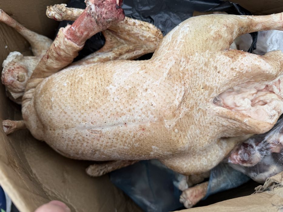 Продам гусиные тушки