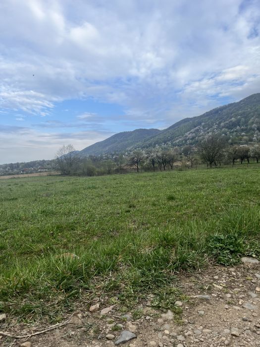 Teren de vanzare Copalnic Manastur