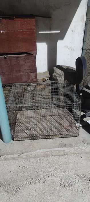 Клетка для животных