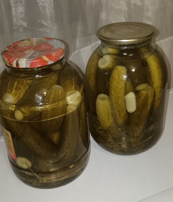 Продаю солёные огурцы