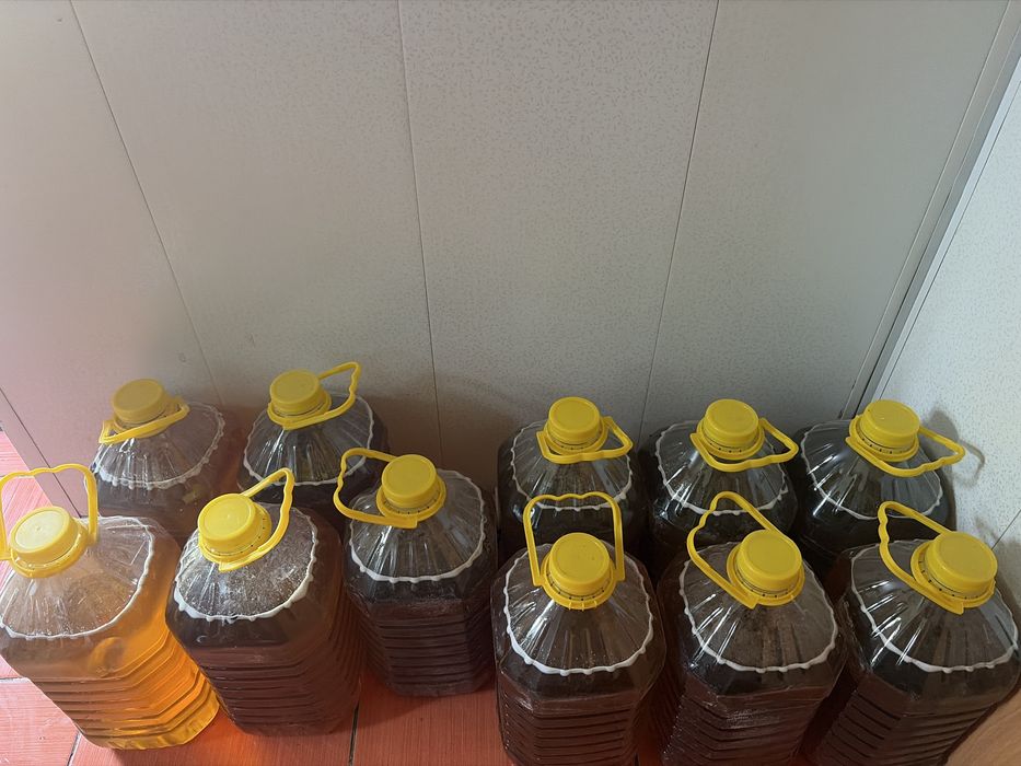 Продам курчумский мед