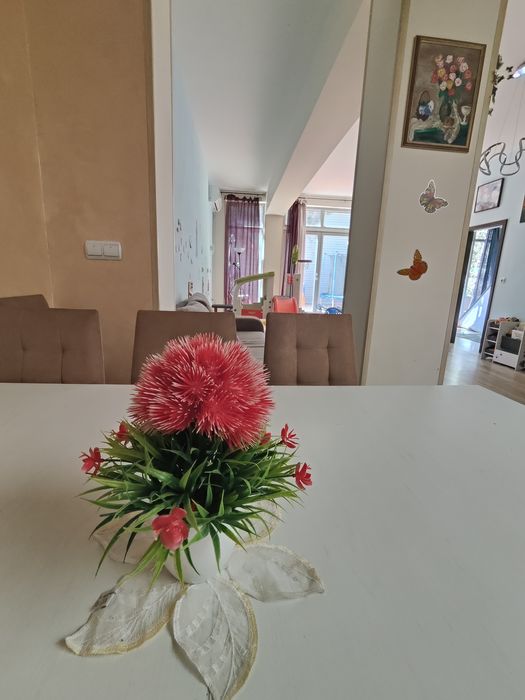 Детски рожден ден в Зала за събития "Лъвчетата"