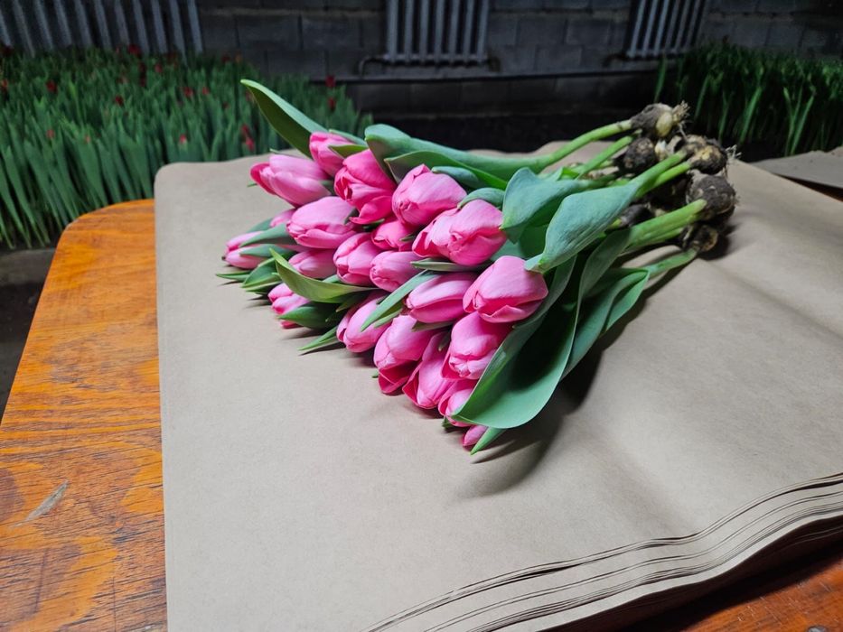 Тюльпаны к 8 марта