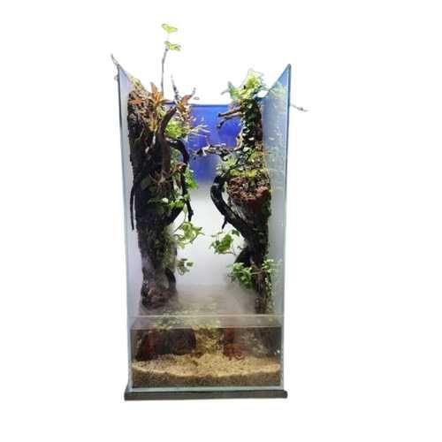 Палюдариумы и Флорариумы в магазине AquaStar