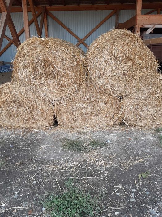 Baloti rotunzi Paie (Ovaz)Ierboase