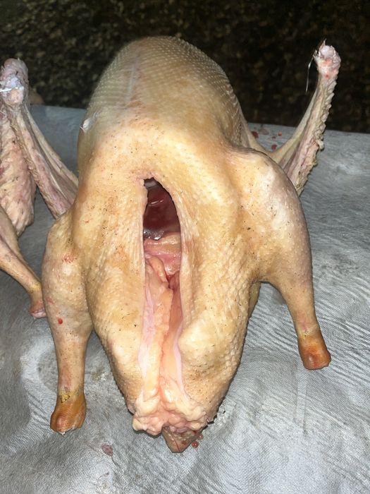 Гуси домашние тушками