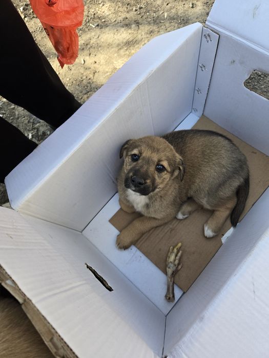 Пролам не дорого