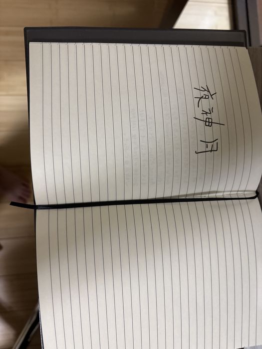 тетрадь смерти с ручкой