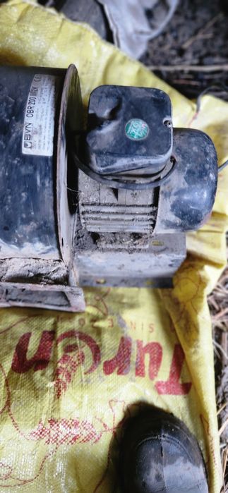 Ulitka matorli zoʻr ishlidi