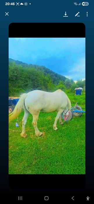 Iapa de vanzare  sau skimb