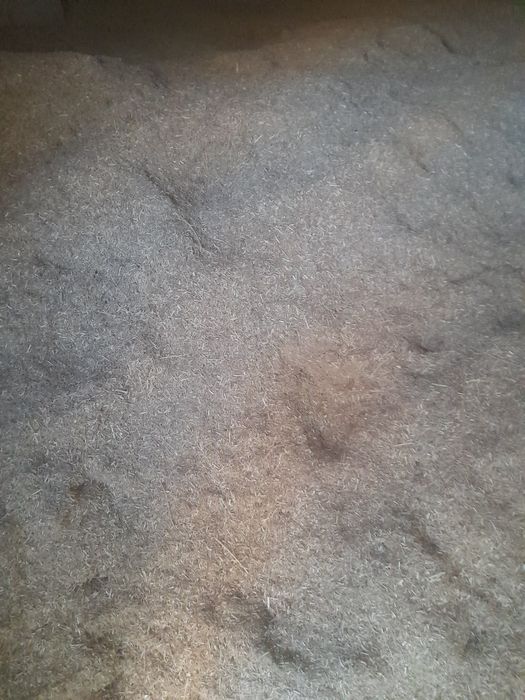 Beda va yantoq sotiladi...