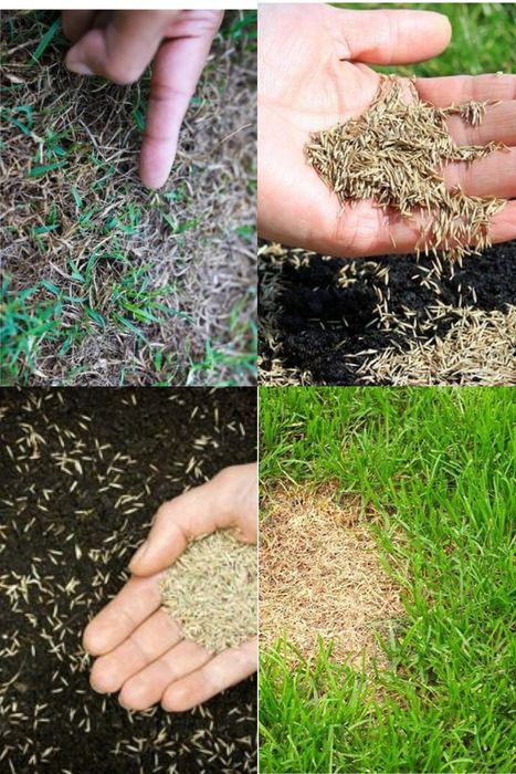 Микраклимат  и сетка