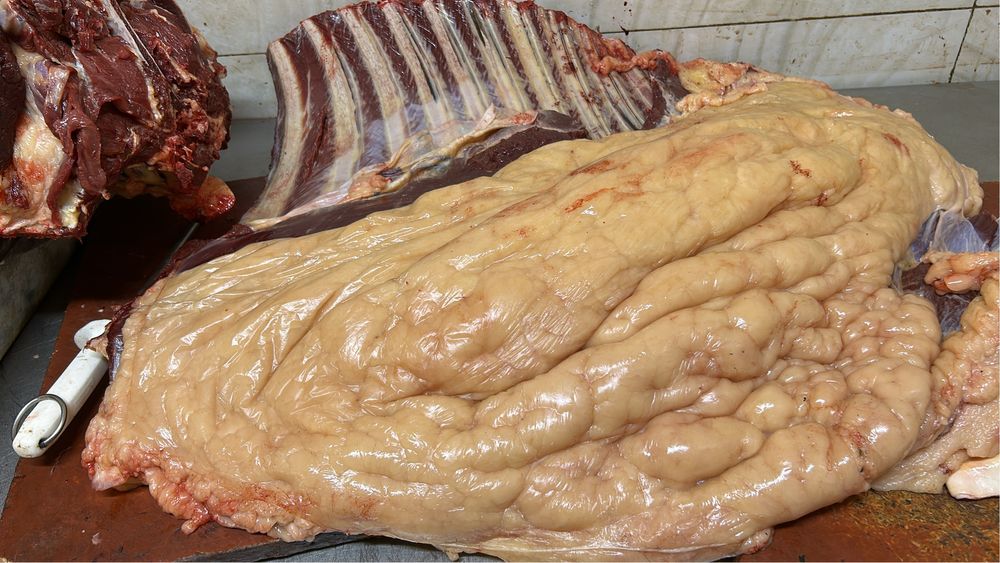 Согым конина молодняк