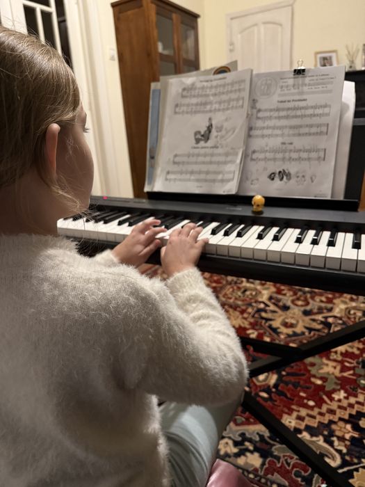 Cursuri pian și vioară – copii și adulți