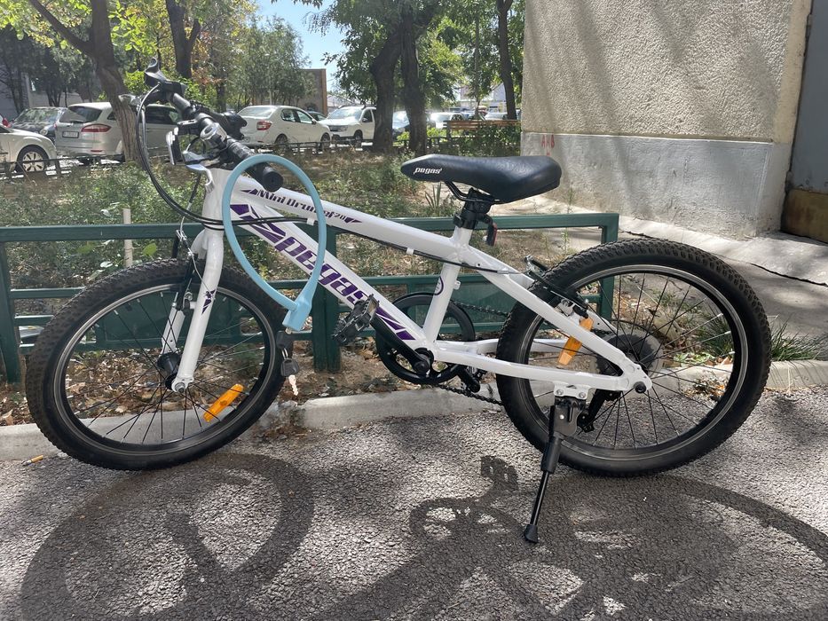 Bicicleta Pegas Mini Drumet 20” copii