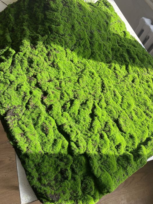 искусственный мох