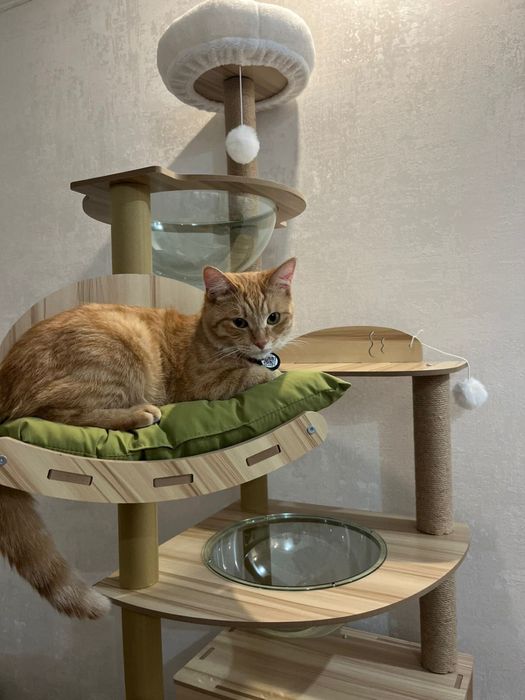 Дом для кота,2 метра в высоту