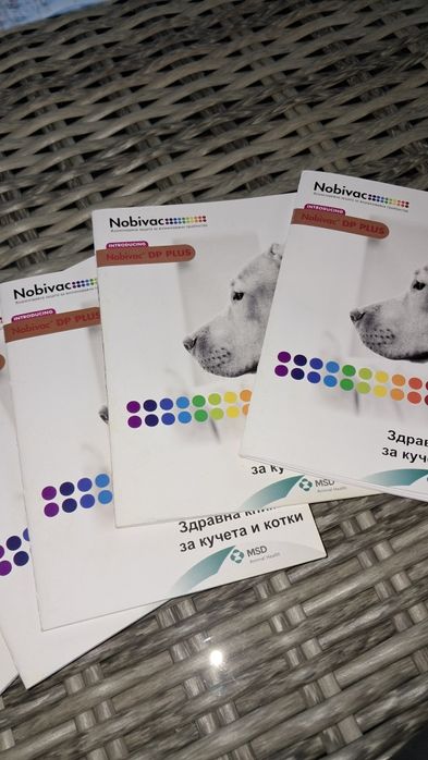 Лагото Романьоло