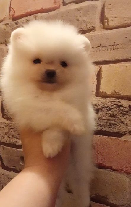 Счастье на ладошке