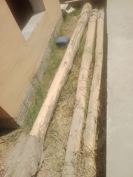 Tsoʻsin sotiladi (Terak)