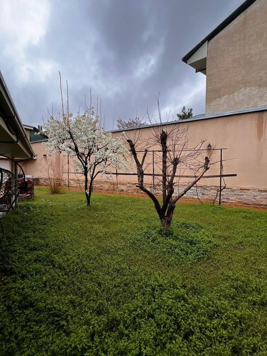 Земельный участок, 7 соток Яккасарайский район, Ракат махалля