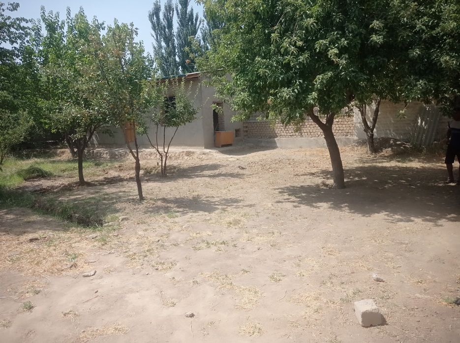 Aralovul mahallasidan 6 sutikli uchastka sotiladi,