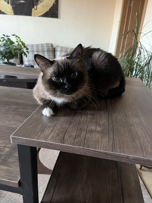 стол компьютерный