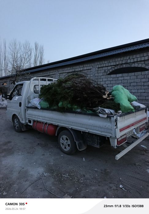 Вывоз мусора  musir tashish musir olib ketish  musor musr tashish 24/7