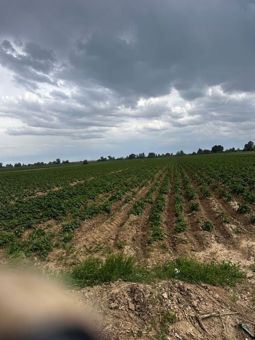Teren 5000 mp Lungulețu – lângă Piața de Gross