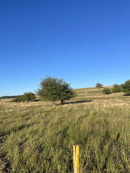 Teren extravilan 2900 mp, 1 km de Cornatel