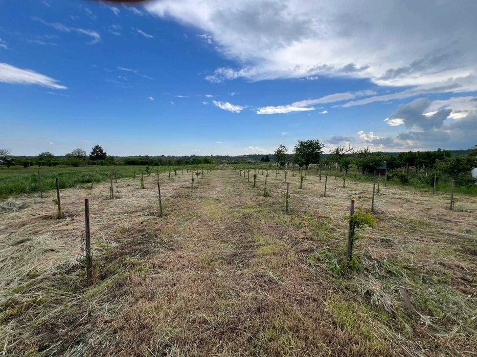 Vanzare Teren intravilan 4971 mp și Casă renovată complet exterior