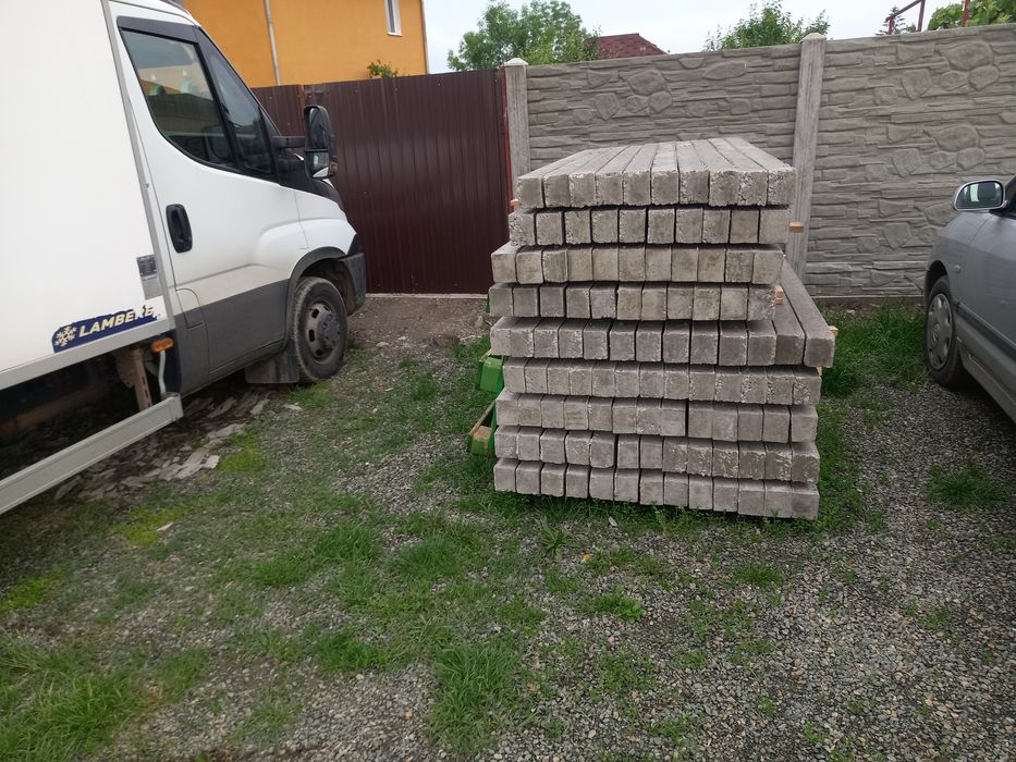 Stalpi gard vita-de-vie