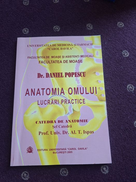 Anatomia Omului FMAM