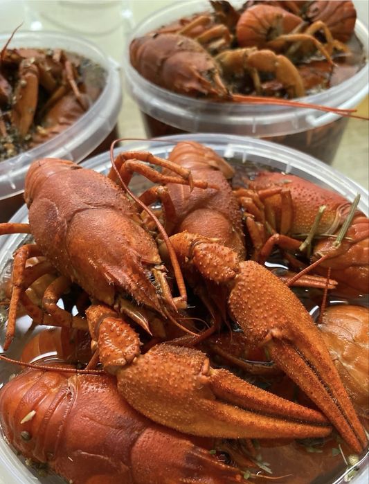 Вкусные раки с доставкой,живые раки