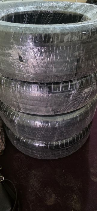 Балон черри га 3000 км юрган