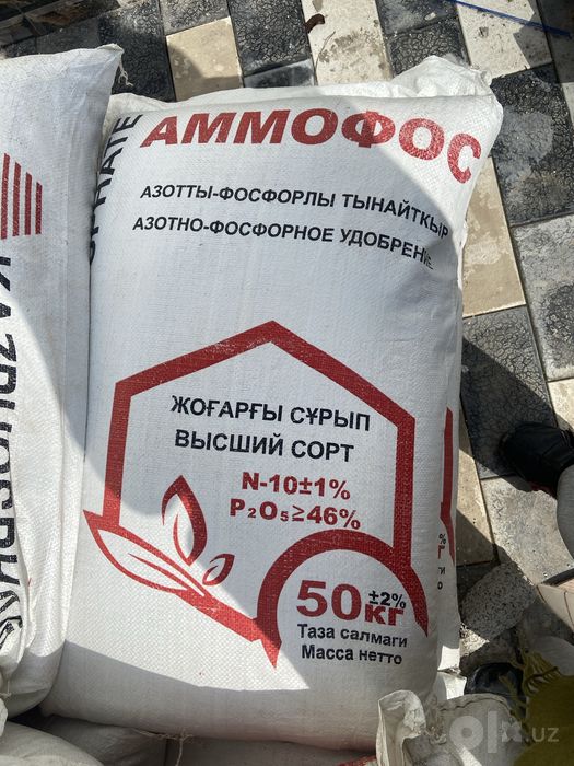 Ammafos bor 460 ming somdan KZ