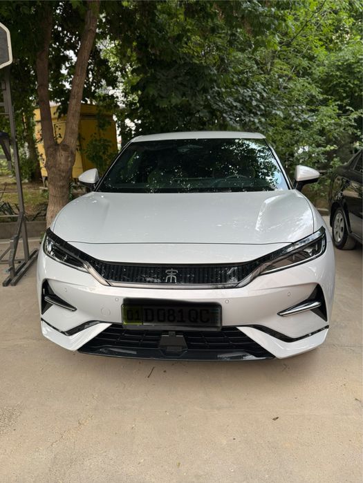 Byd song L 2024 5 positsa