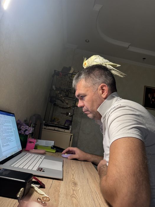 Продам ручных попугаев (девочка и мальчик)