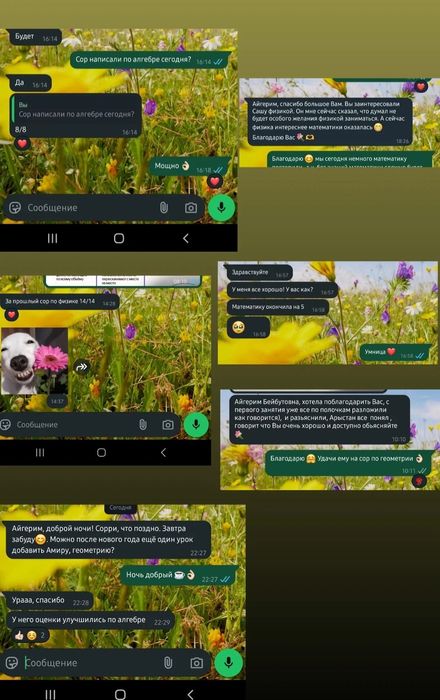 Репетитор Математики и Физики